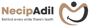 Dr.Necip Adil Logo