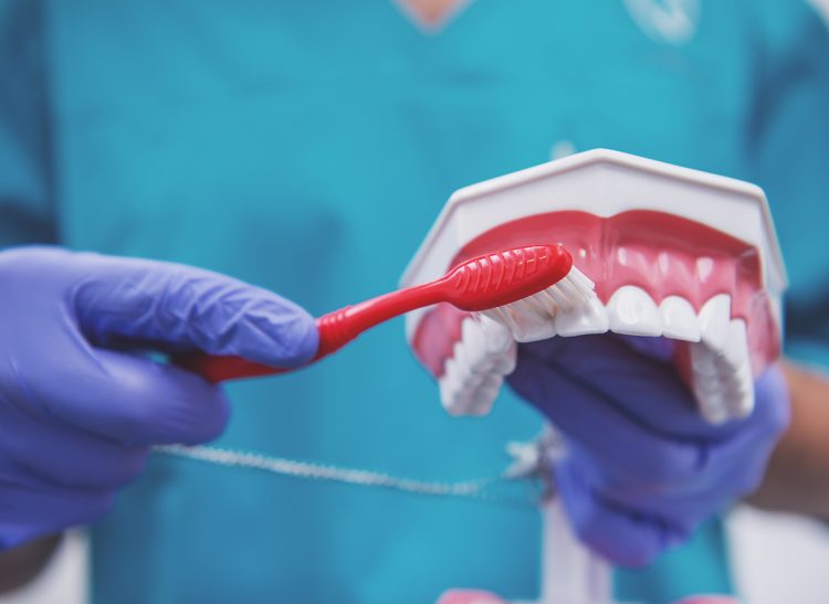 Dentist in protection gloves keeps toothbrush and dental prosthesis. Close-up