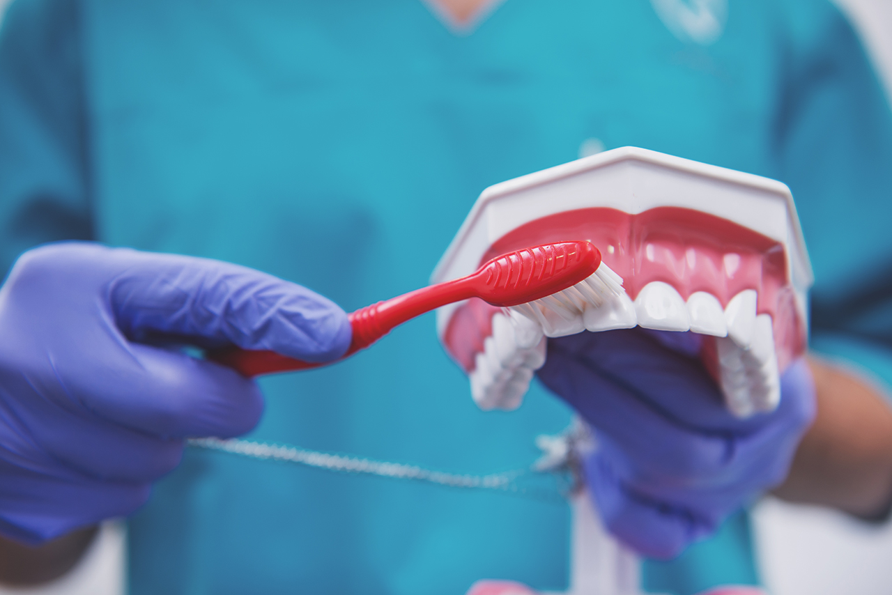 Dentist in protection gloves keeps toothbrush and dental prosthesis. Close-up